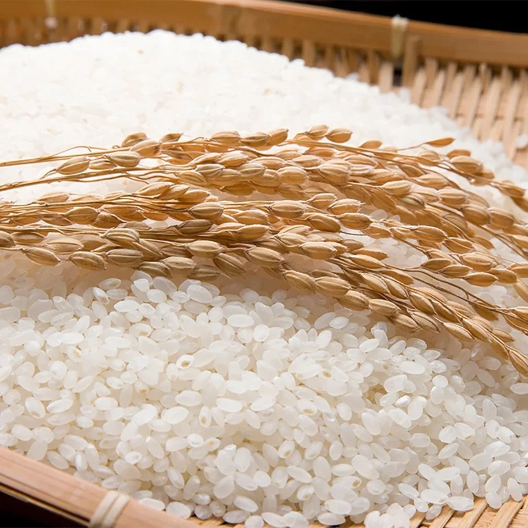 Korean Rice Explained: Short Grain, Medium Grain & Mixed Varieties - Main Feed
