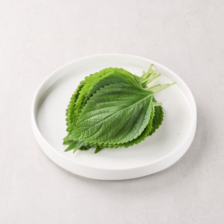 The Ultimate Guide to Korean Perilla: Leaves, Seeds & Oil — How to Use, Substitute & Where to Buy for US/UK Kitchens 4 The Ultimate Guide to Korean Perilla: Leaves, Seeds & Oil — How to Use, Substitute & Where to Buy for US/UK Kitchens